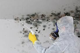 Forensic Mold Investigation in Spotswood, NJ